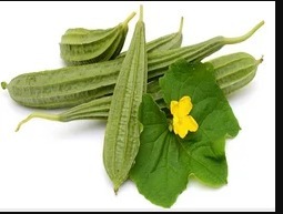 Ridge Gourd (Beerakaya)
